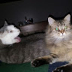 Meet your Posher, Tara